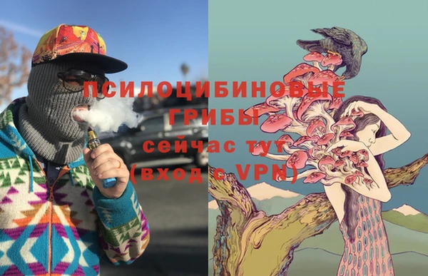 прущие грибы Елизово