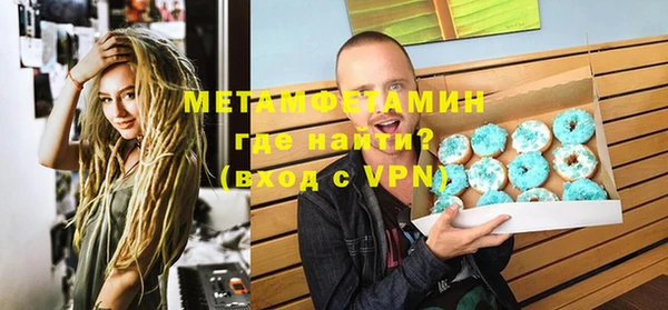 прущие грибы Елизово