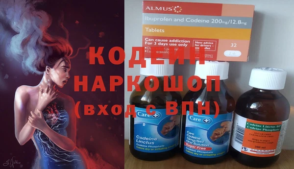 прущие грибы Елизово