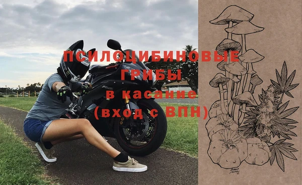 прущие грибы Елизово