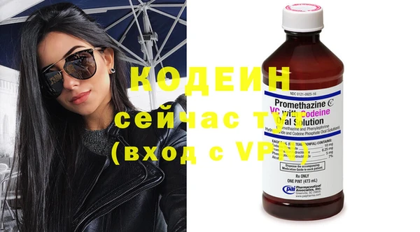 дурь Ельня