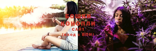 крисы Осинники