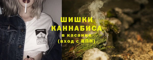 дурь Ельня