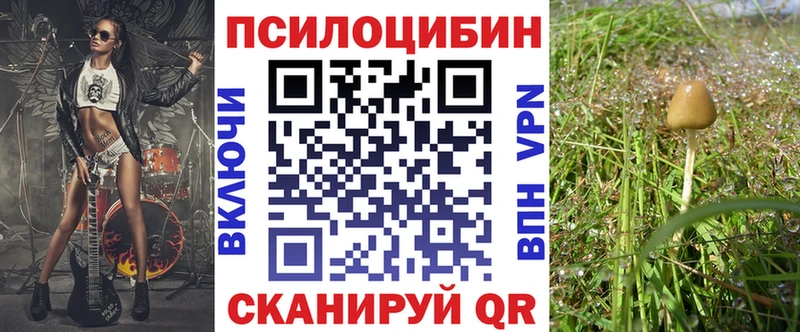 Галлюциногенные грибы мицелий Калтан