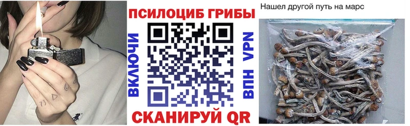 Галлюциногенные грибы ЛСД  Калтан 