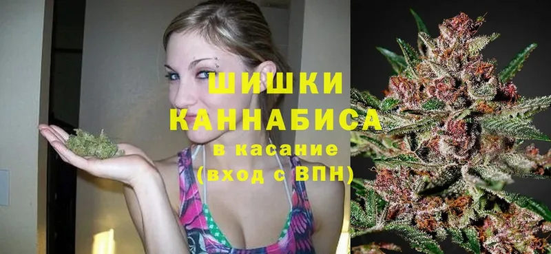 где купить наркоту  Калтан  МАРИХУАНА White Widow 