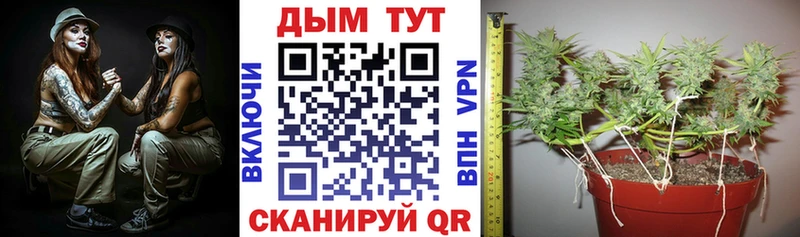 продажа наркотиков  Калтан  МАРИХУАНА Bruce Banner 